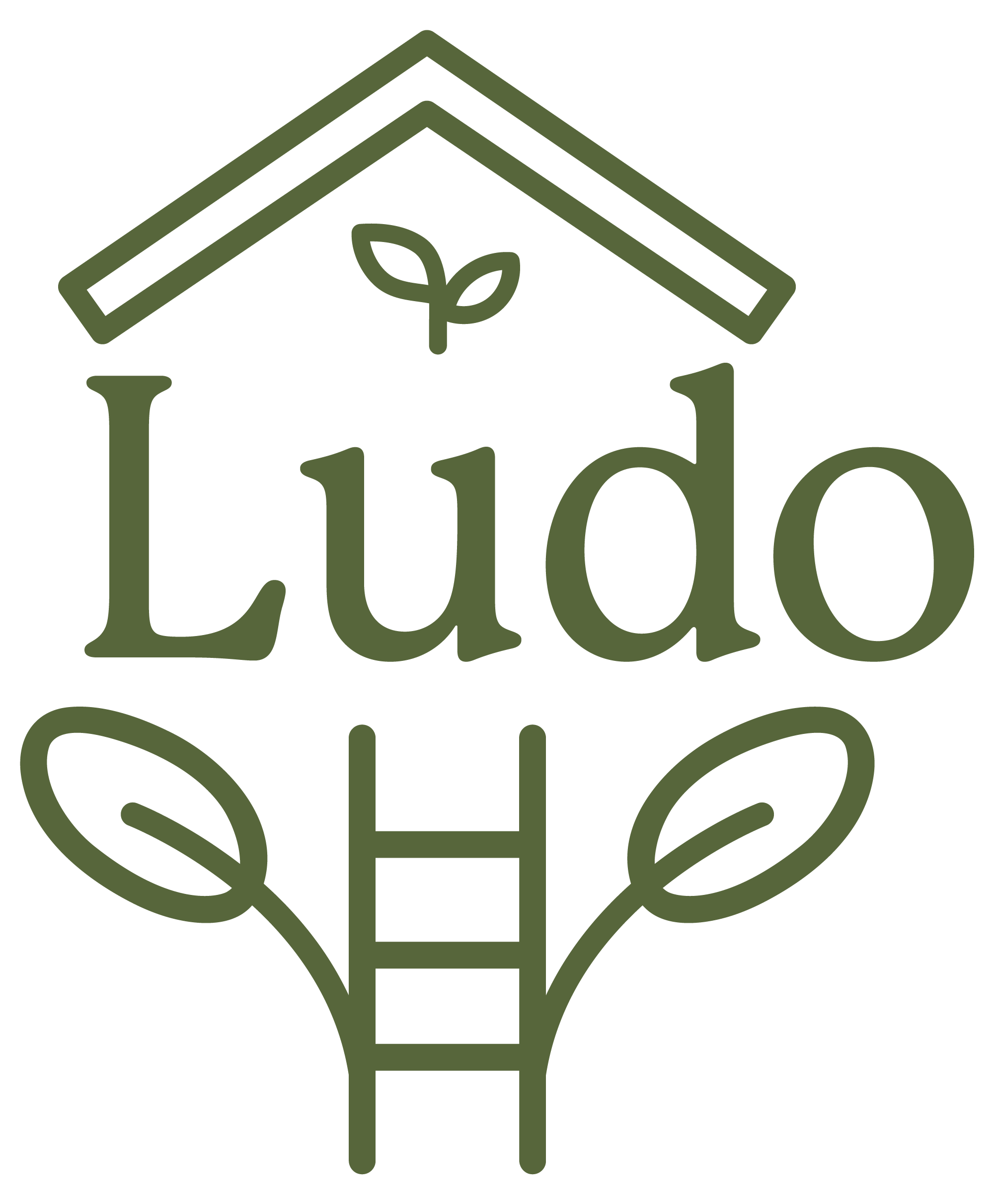 Ludo
